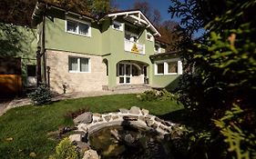 Drachenhaus Urban Villa